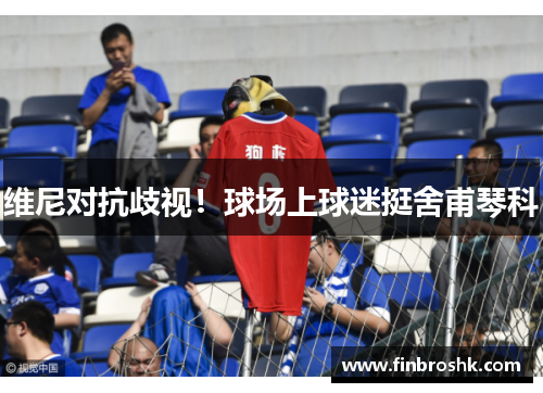维尼对抗歧视！球场上球迷挺舍甫琴科